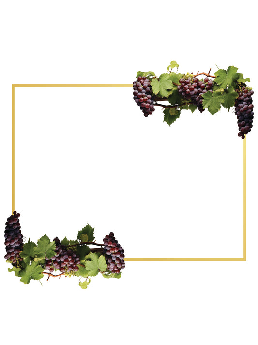 Wine Labels 3 x 4" Clear Plastic.
